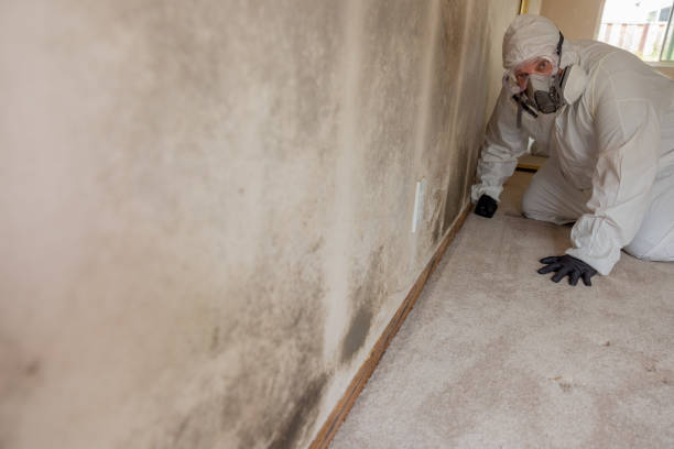 Best Indoor Air Quality Assessment  in Carnation, WA