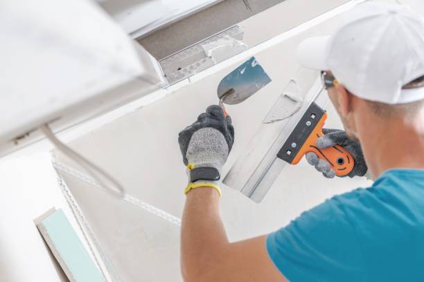 Mold Odor Removal Services in Carnation, WA